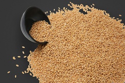 Lokwan  wheat