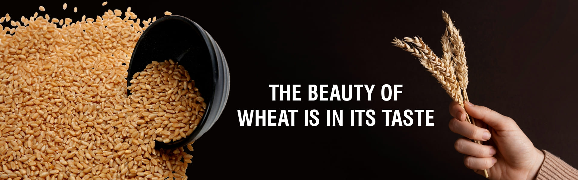 wheat-banner-1